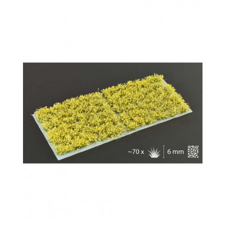 Touffes Yellow Flowers - Gamers Grass