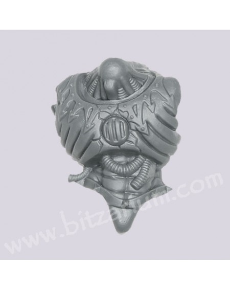 Chest 1