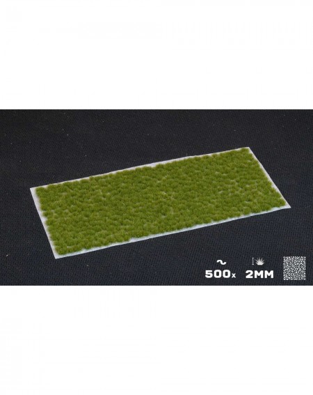 Bitzarium - Touffes Tiny Tufts Dry Green - Gamers Grass