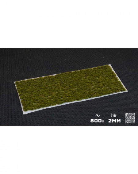 Bitzarium - Touffes Tiny Tufts Dark Moss - Gamers Grass