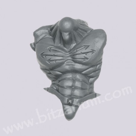 Torse avant 2