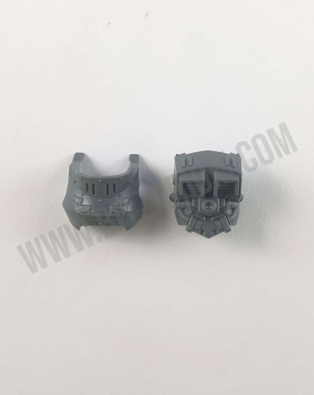 Torse 1 Tartaros Terminators