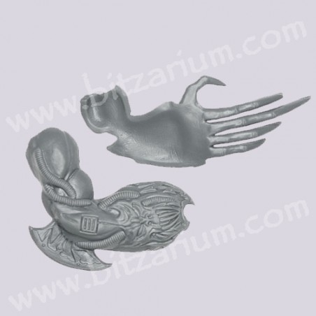 Right Arm