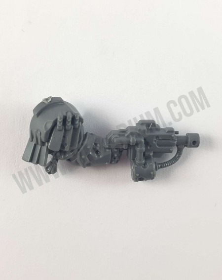 Armes Combinées 1 Blightlord Terminators