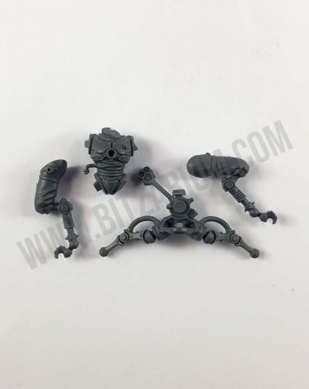 Corps 2 Pteraxii Sterylizors