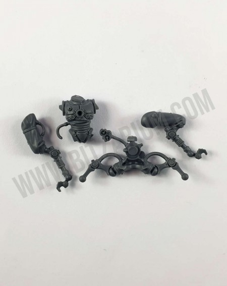 Corps 4 Pteraxii Sterylizors