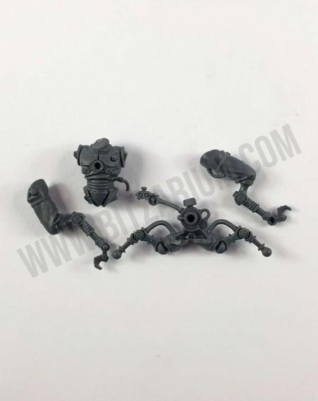 Corps 5 Pteraxii Sterylizors