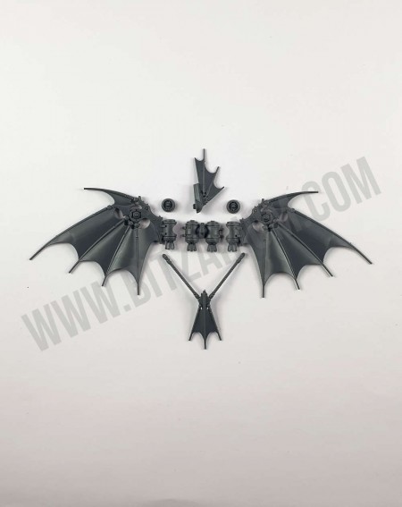 Ailes 3 Pteraxii Sterylizors