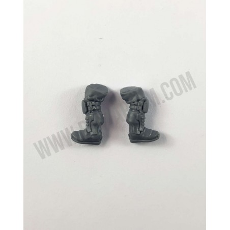 Legs 2 - Palanite Enforcer Patrol