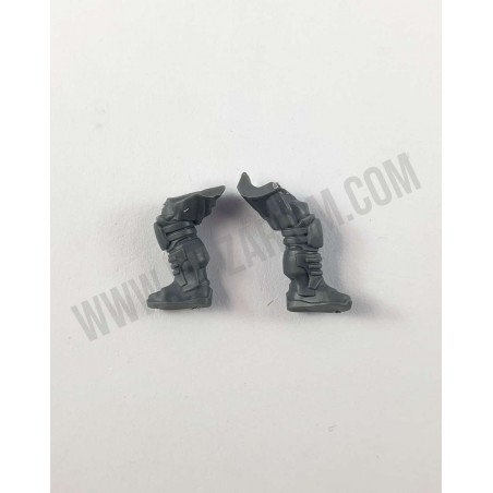 Legs 6 - Palanite Enforcer Patrol