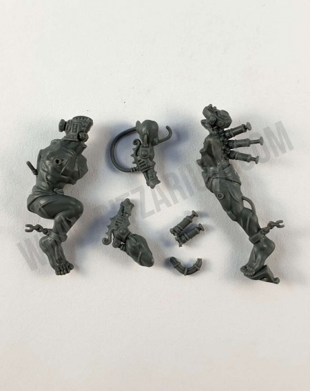 Corps 2 Arco-Flagellants