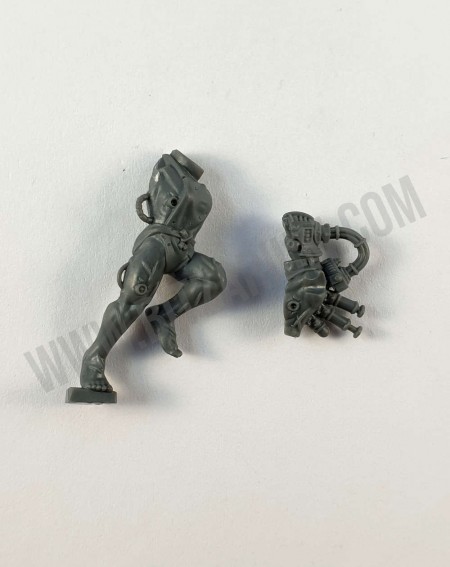 Corps 5 Arco-Flagellants