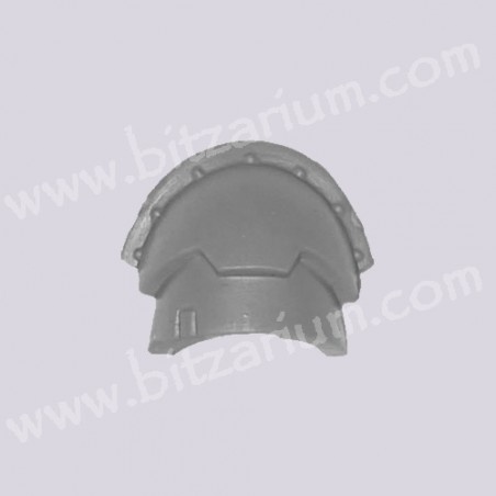 Champion Shoulder Pad