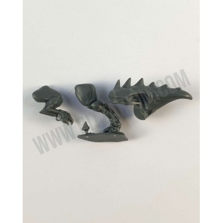 Body Squig 6 - Squig Herd