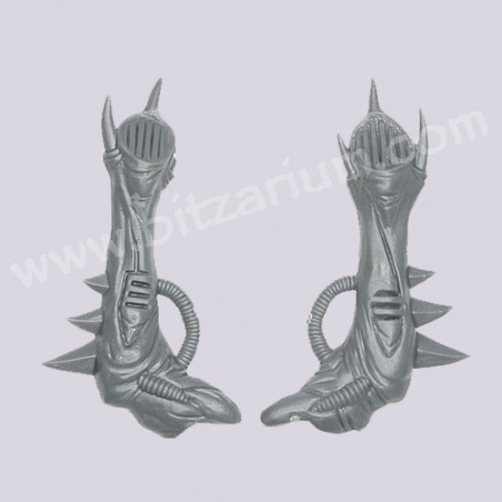 Pack dorsal