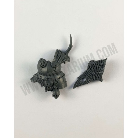 Torse 2 - Putrid Blightkings