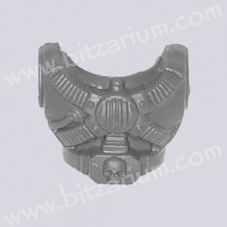 Front Torso 1