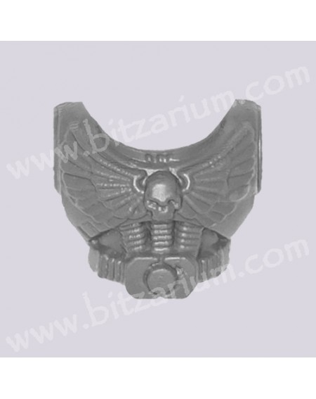 Chest 4