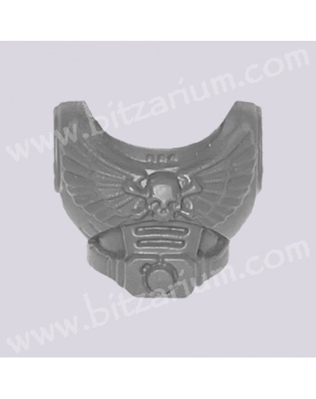 Chest 5