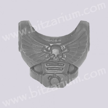 Front Torso 5