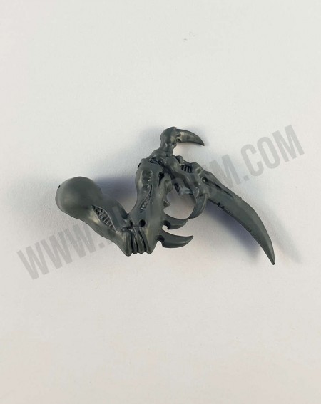 Griffe Tranchante Droite Exocrine Exocrine / Haruspex