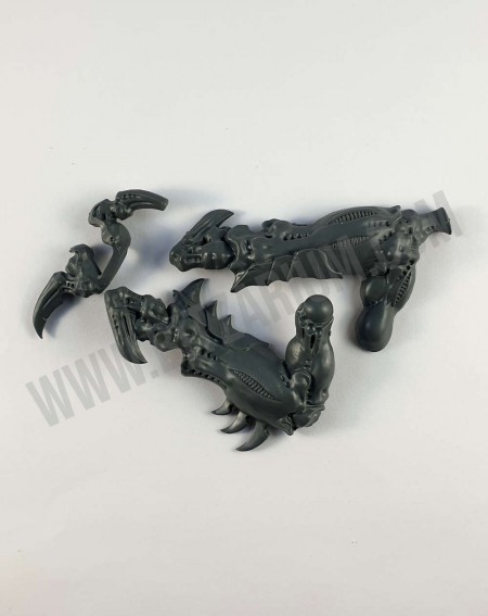 Jambe Avant Droite Exocrine / Haruspex