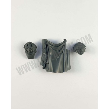 Cape Shield-Captain - Custodian Wardens