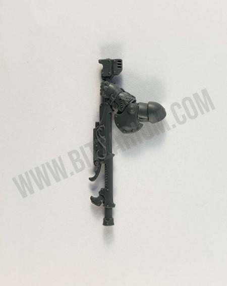 Manche D’Arme 2 Custodian Wardens