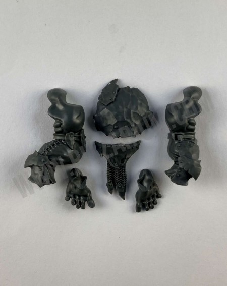 Corps 5 Orruk Brutes