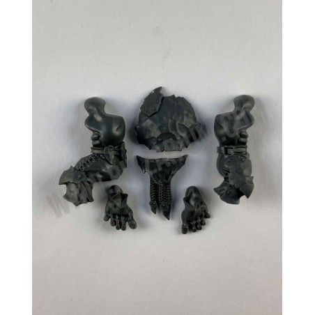 Body 5 - Orruk Brutes
