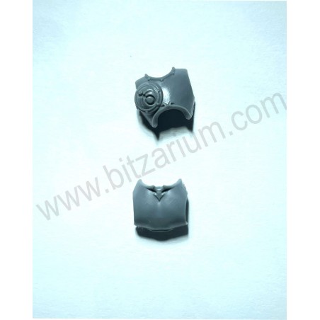 Torse1 - Myrmidesh Painbringers
