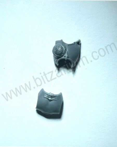 Torse2 Myrmidesh Painbringers
