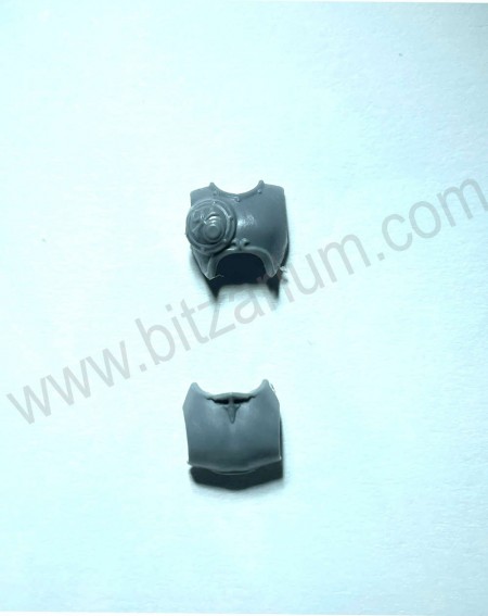 Torse5 Myrmidesh Painbringers
