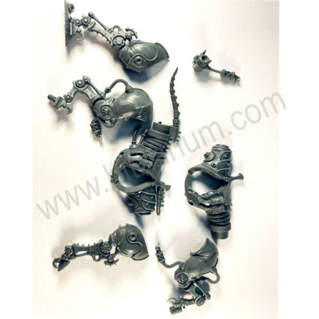 Corps cheval 1 - Serberys Raiders