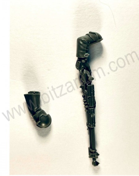Carabine Galvanique 1 Serberys Raiders