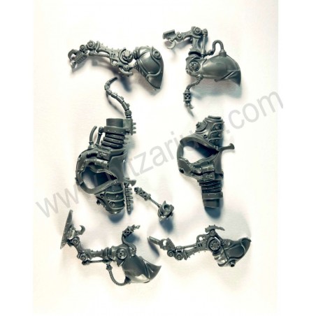 Horse Body 2 - Serberys Raiders