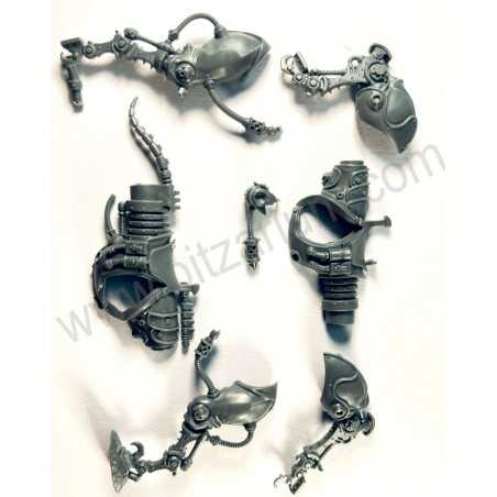 Horse Body 3 - Serberys Raiders