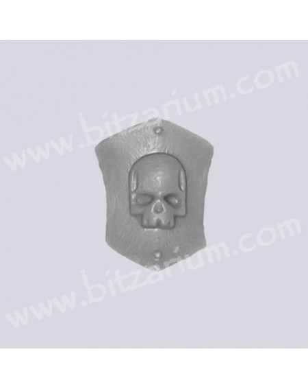 Shield 5