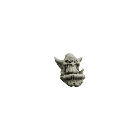 Orcs Bulky Heads 5 - Orcs
