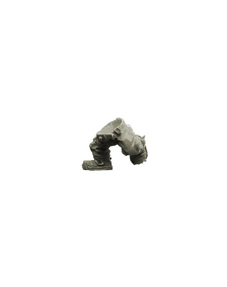 Orc Jambe course 2 Orcs