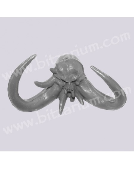 Head 3