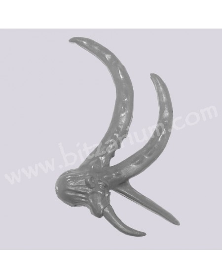 Head 6