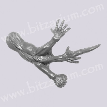 Mutated right Arm