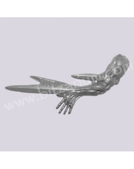 Mutated left Arm