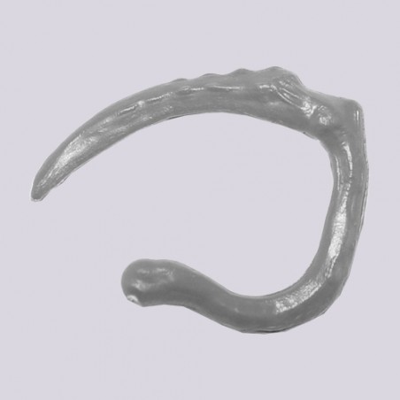 Tail Claw 6