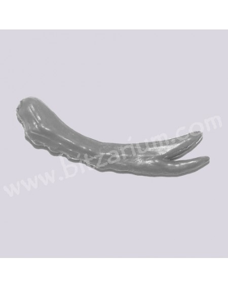 Tail Claw 7