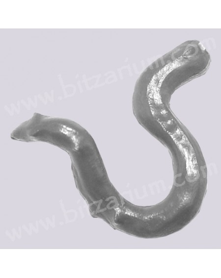 Appendix 2