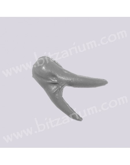 Pointe 5