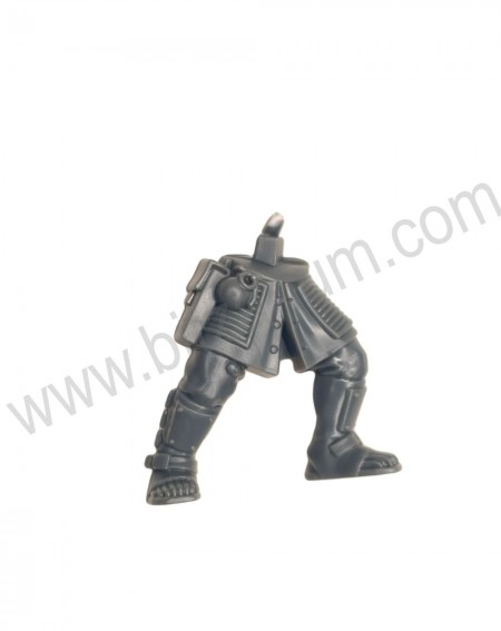 Jambes 2 Neophyte hybrids