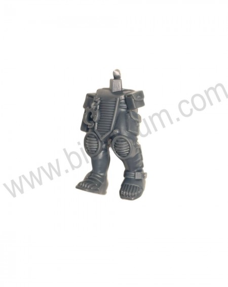 Jambes 3 Neophyte hybrids